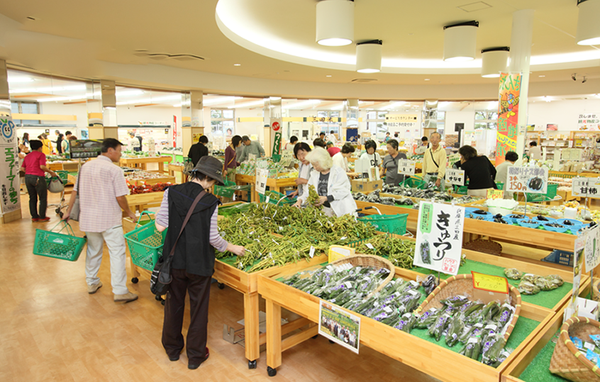 「呼子のイカ」「活あわび」「ブランド○○牛」夏の3大高級グルメミステリーツアー【久宝寺・近鉄八尾・八戸ノ里・新石切発】3